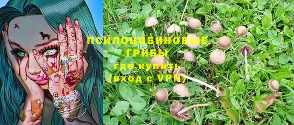 бошки Мегион