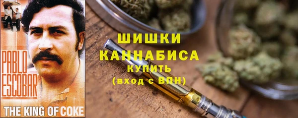 бошки Мегион